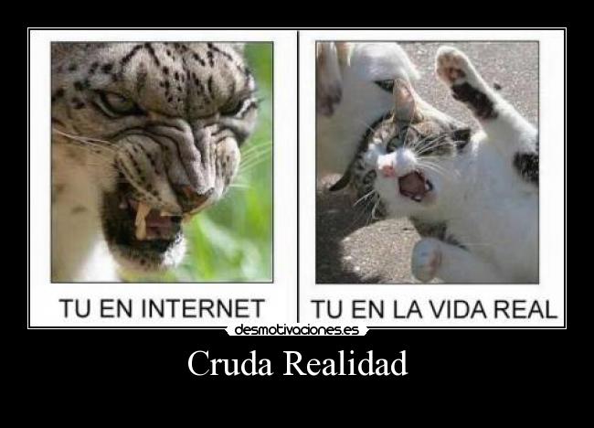 Cruda Realidad - 