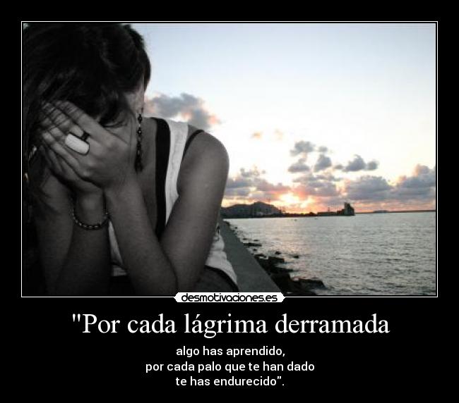 carteles por cada lagrima derramada algo has aprendido por cada palo que han dado has endurecido 7o7 desmotivaciones
