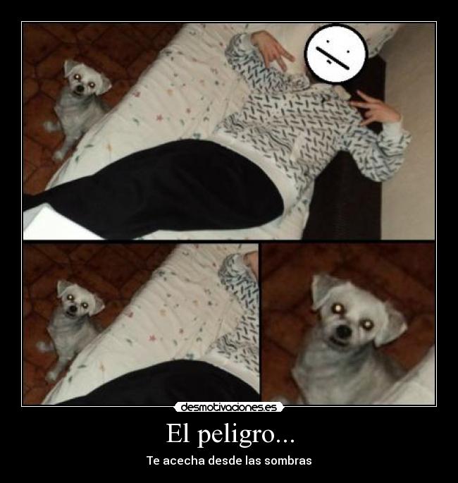 El peligro... -