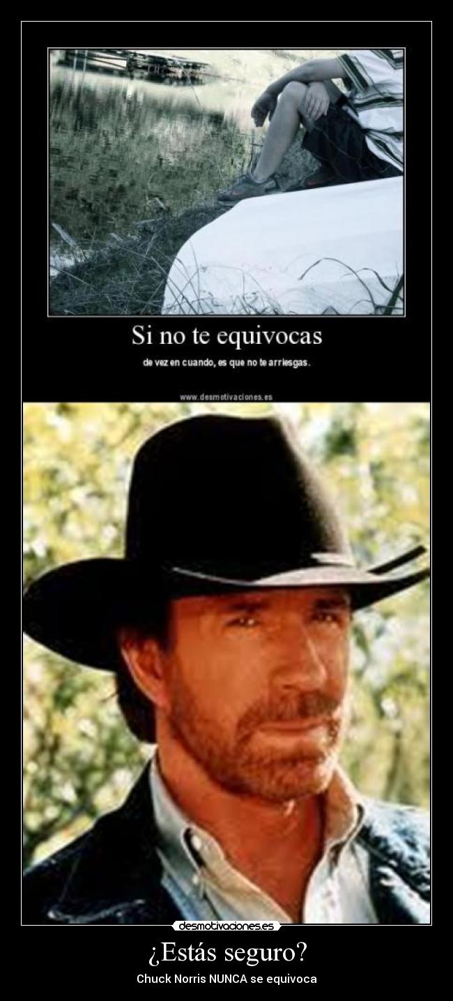 ¿Estás seguro? - Chuck Norris NUNCA se equivoca