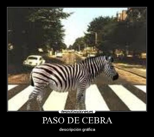 PASO DE CEBRA -