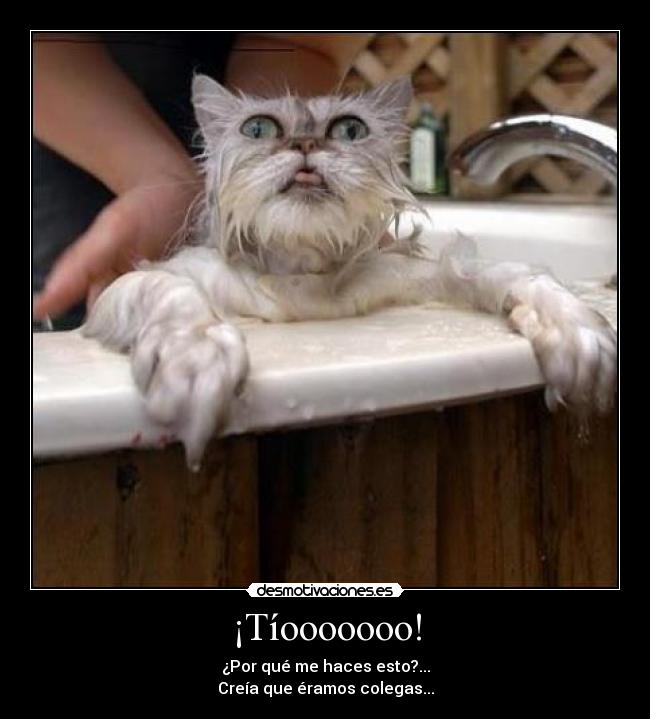 ¡Tíooooooo! -