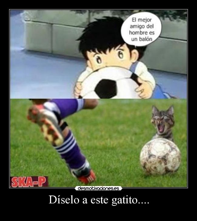 Díselo a este gatito.... -