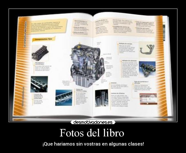 Fotos del libro  - 