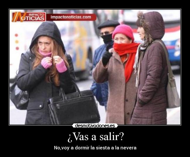 ¿Vas a salir? - No,voy a dormir la siesta a la nevera
