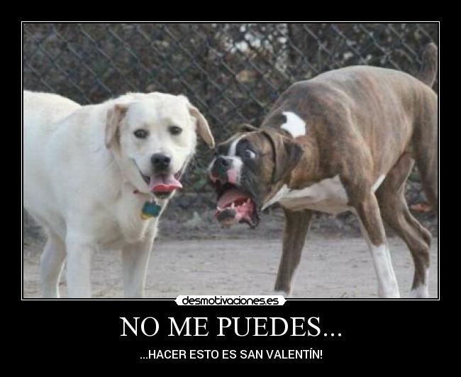 NO ME PUEDES... -