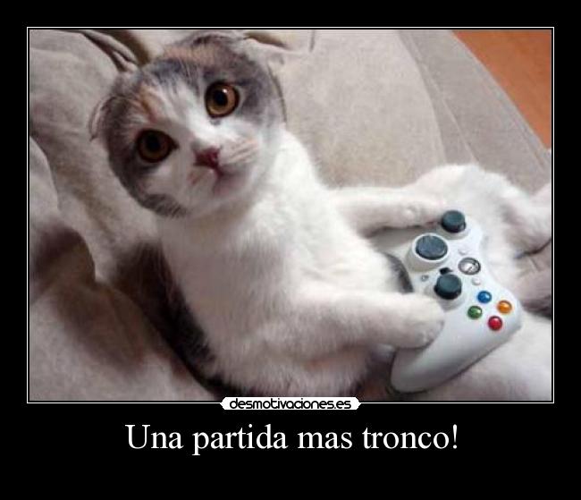 carteles gatosxbox desmotivaciones