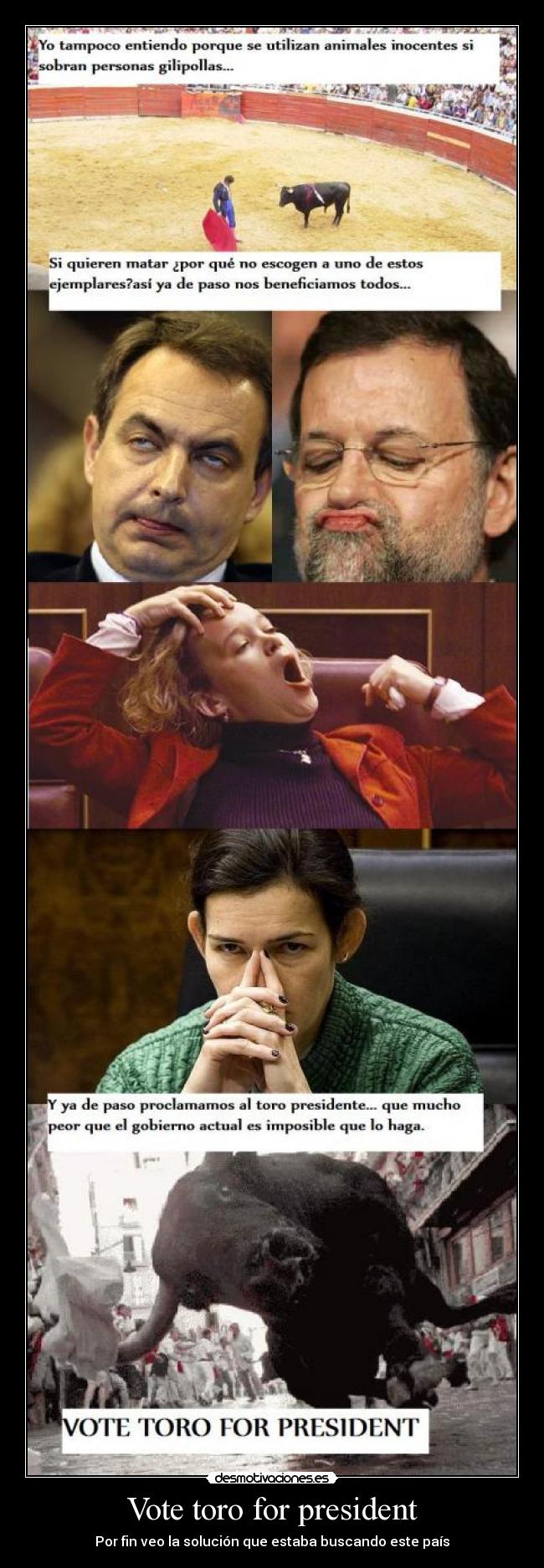 Vote toro for president - 