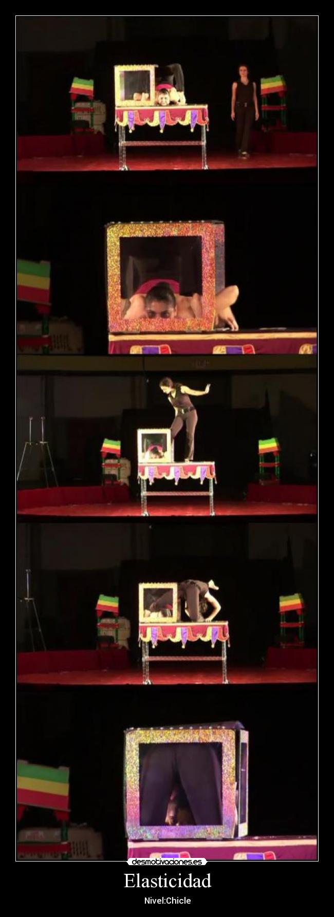 Elasticidad - Nivel:Chicle