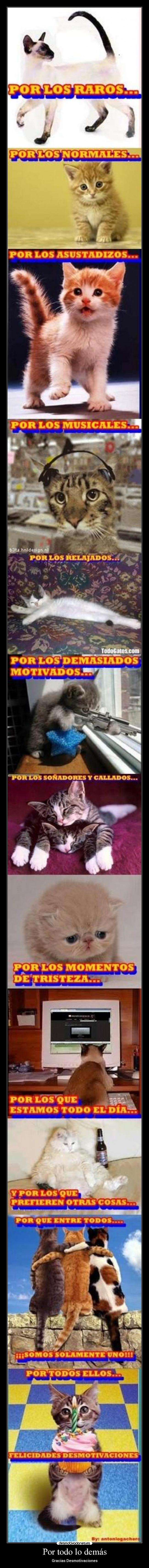 Por todo lo demás - Gracias Desmotivaciones