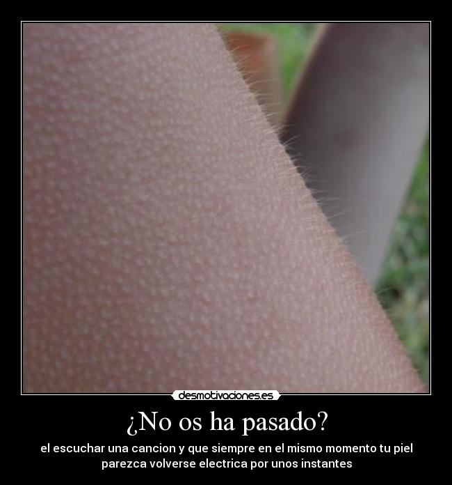 ¿No os ha pasado? - el escuchar una cancion y que siempre en el mismo momento tu piel
parezca volverse electrica por unos instantes