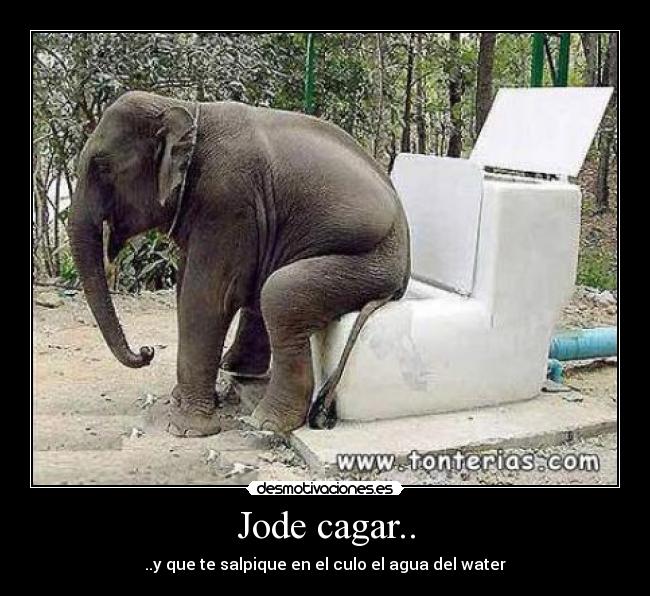 Jode cagar.. -