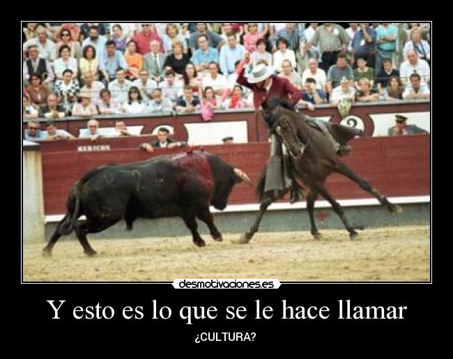 Y esto es lo que se le hace llamar -