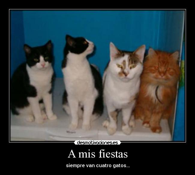 carteles fiestas cuatro gatos desmotivaciones