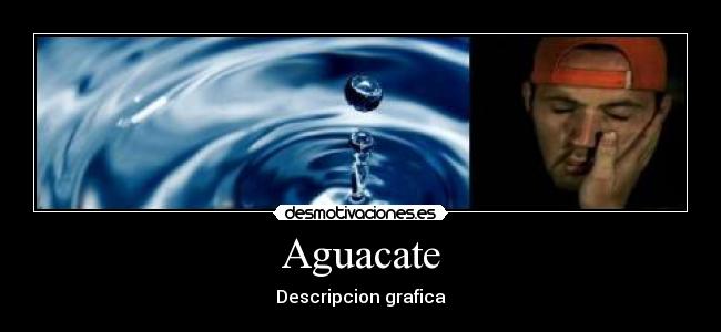 Aguacate - Descripcion grafica