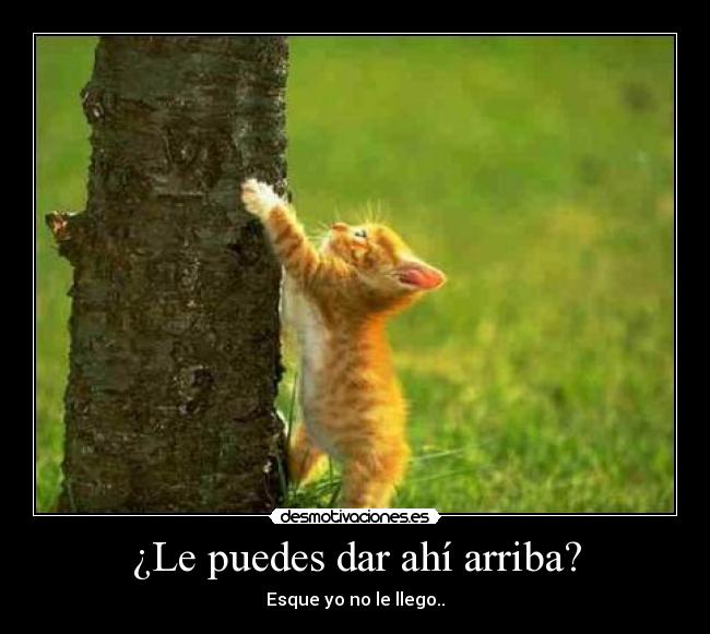 ¿Le puedes dar ahí arriba? - 