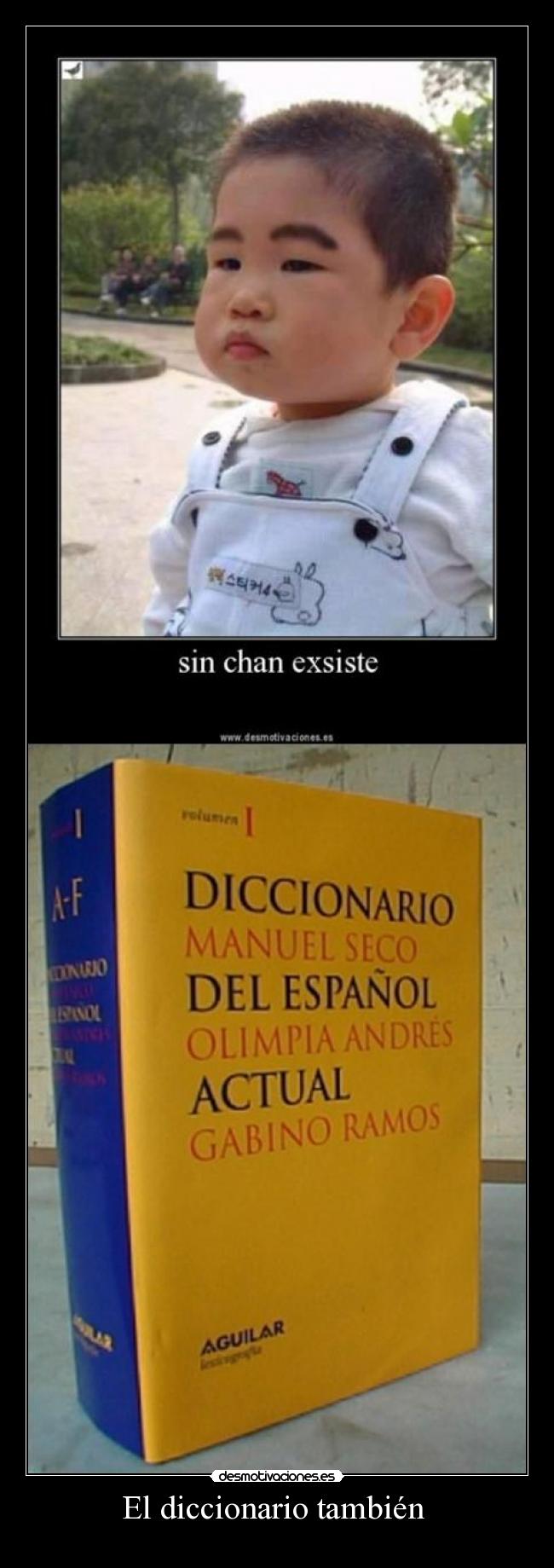 El diccionario también  - 