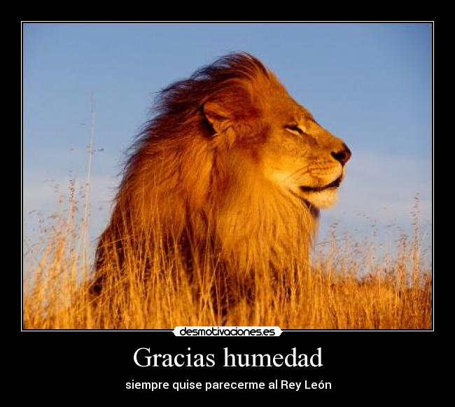 carteles humedad desmotivaciones
