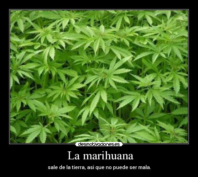 La marihuana -