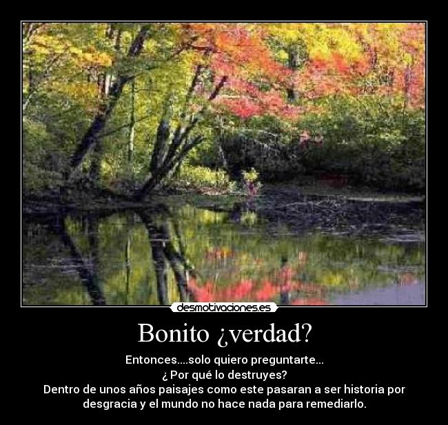 Bonito ¿verdad? -