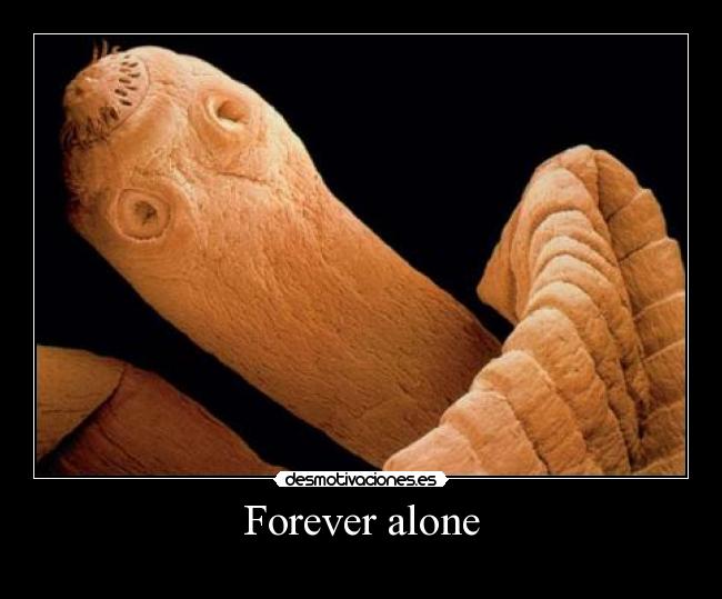 Forever alone -