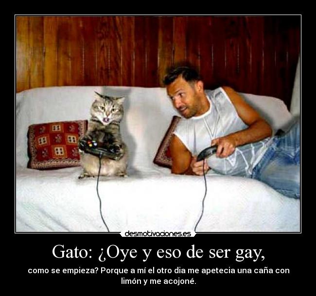 Gato: ¿Oye y eso de ser gay, - 