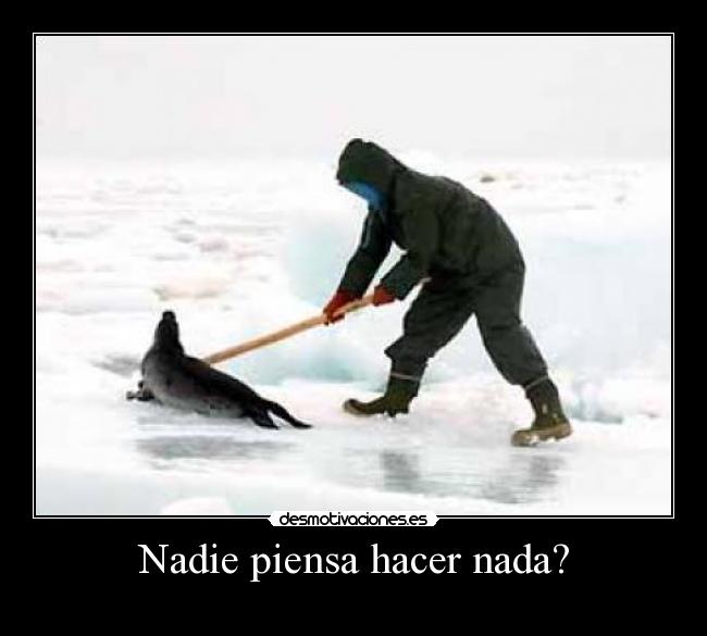 Nadie piensa hacer nada? - 
