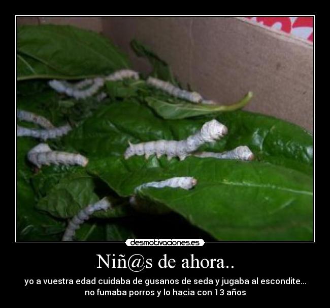 Niñ@s de ahora.. - yo a vuestra edad cuidaba de gusanos de seda y jugaba al escondite...
no fumaba porros y lo hacia con 13 años