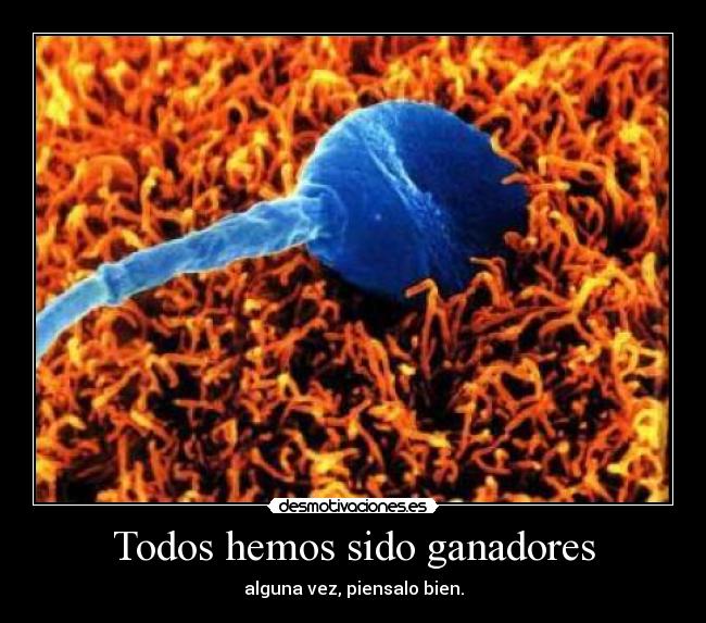 Todos hemos sido ganadores -