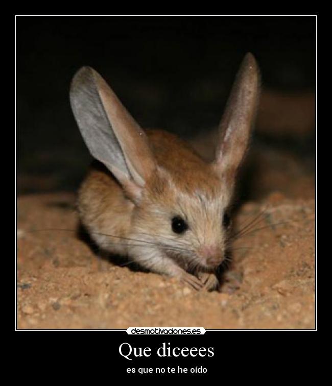 Que diceees -