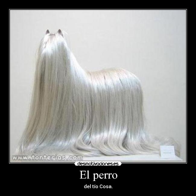 El perro - 
