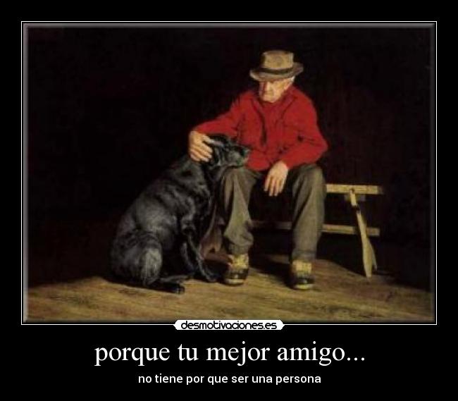 carteles amigo perro persona desmotivaciones