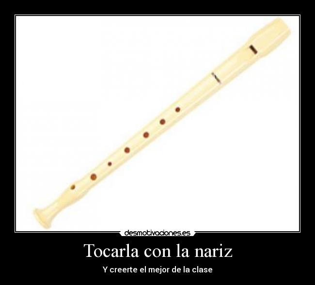 carteles flauta desmotivaciones