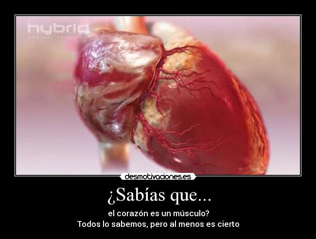 carteles corazon desmotivaciones