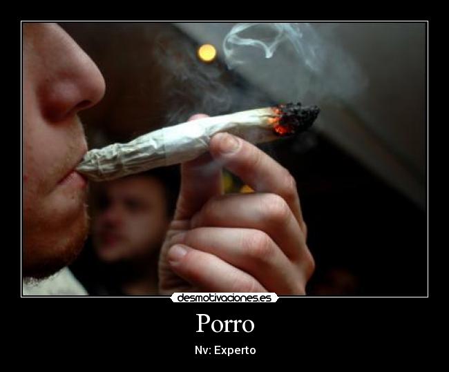 Porro - Nv: Experto