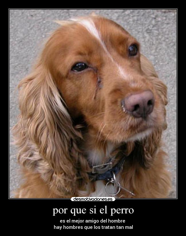 por que si el perro -
