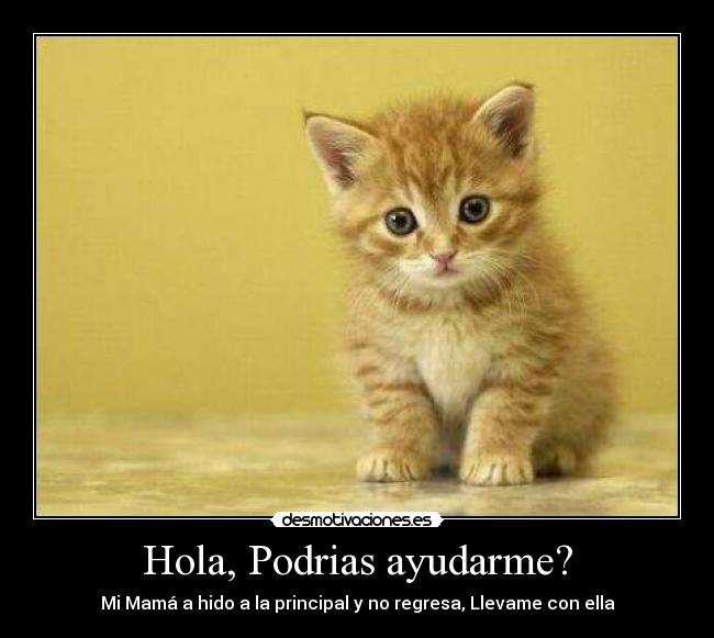 Hola, Podrias ayudarme? -