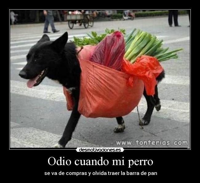 Odio cuando mi perro -