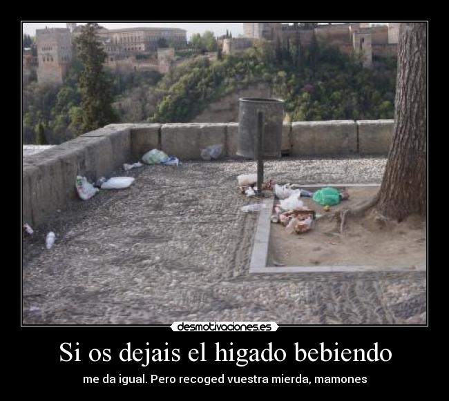 Si os dejais el higado bebiendo - 