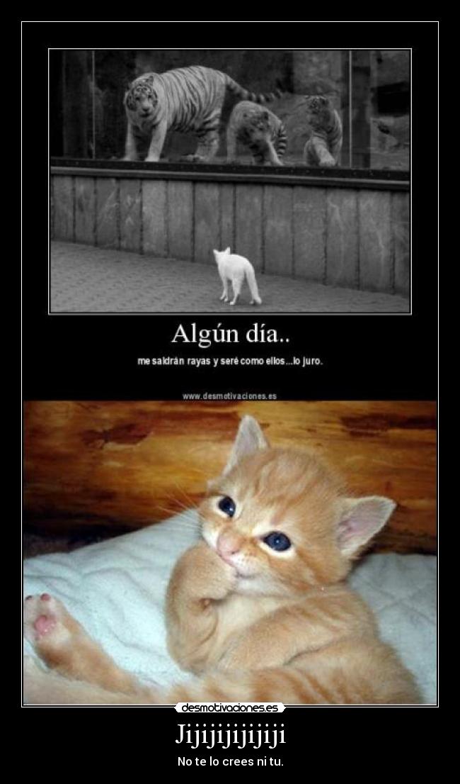 Jijijijijijiji - No te lo crees ni tu.