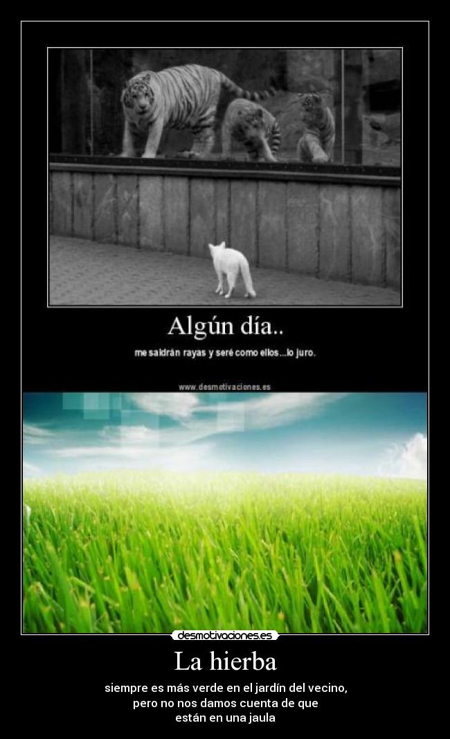 La hierba - siempre es más verde en el jardín del vecino,
pero no nos damos cuenta de que
están en una jaula