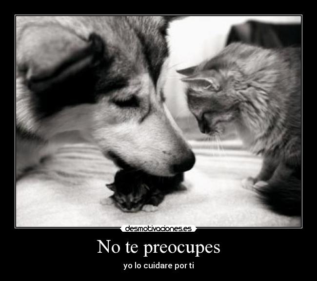 No te preocupes - 