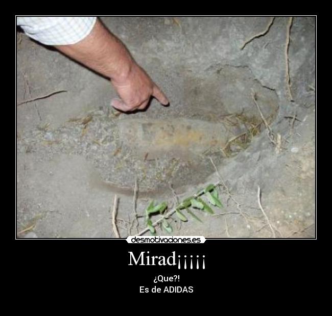 Mirad¡¡¡¡¡ - ¿Que?!
Es de ADIDAS
