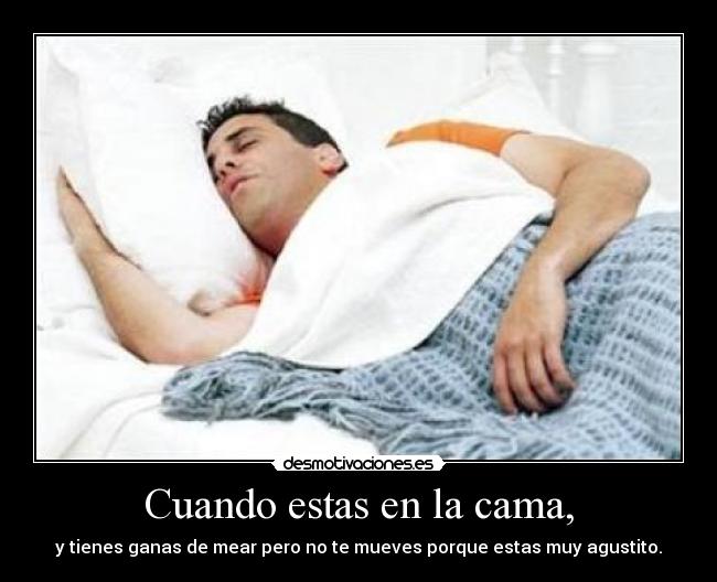 Cuando estas en la cama, - y tienes ganas de mear pero no te mueves porque estas muy agustito.
