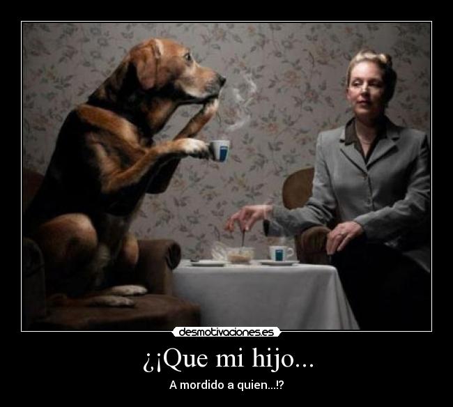 ¿¡Que mi hijo... - A mordido a quien...!?