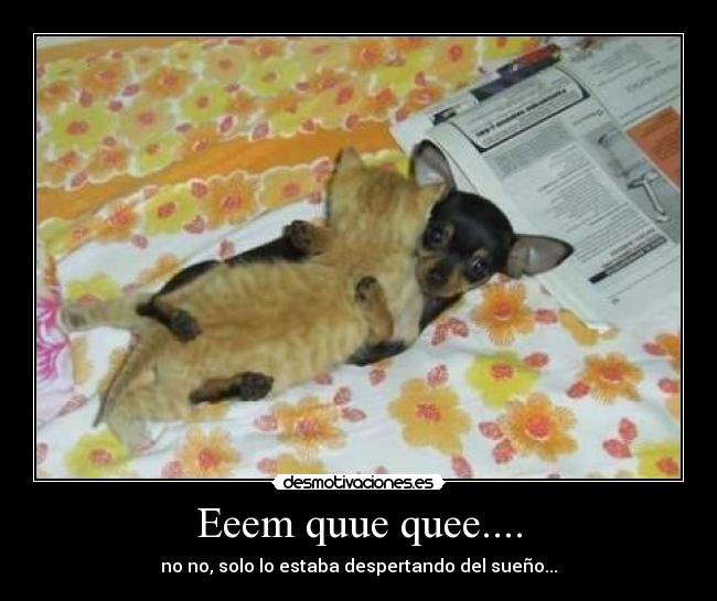 Eeem quue quee.... - no no, solo lo estaba despertando del sueño...