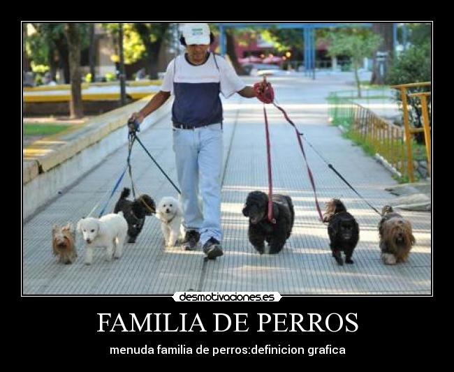 FAMILIA DE PERROS - 