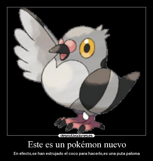 Este es un pokémon nuevo - 