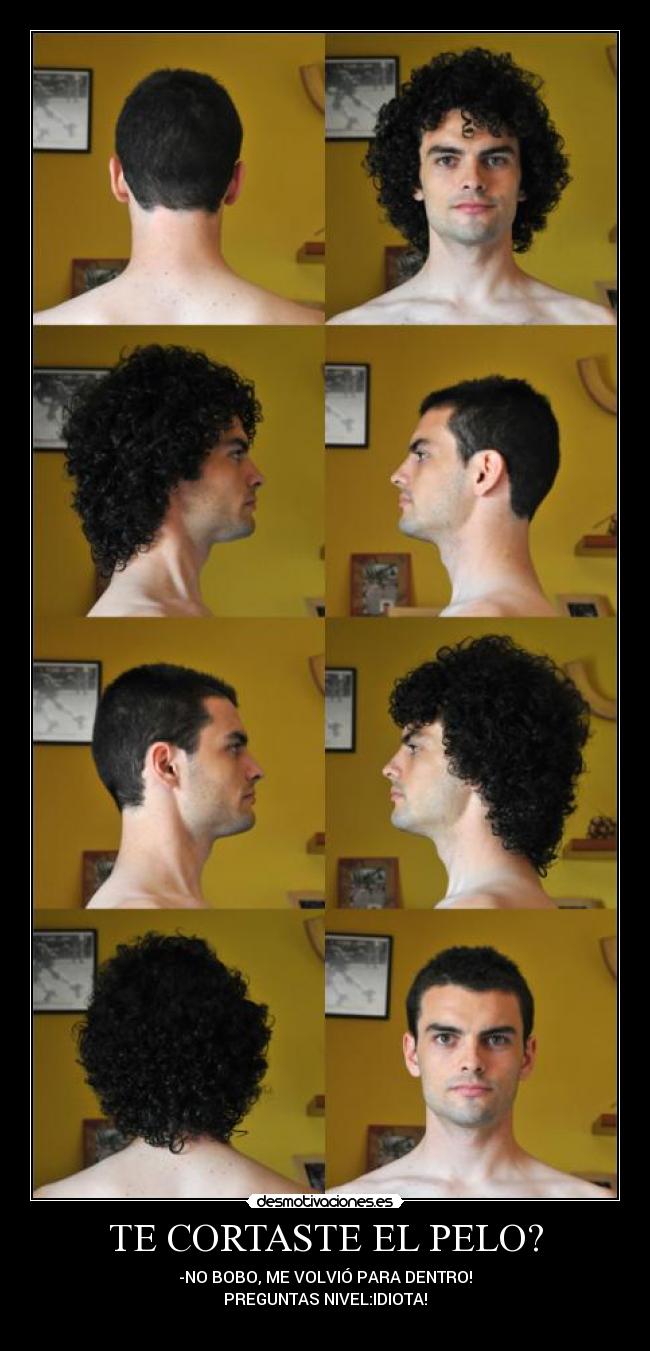 TE CORTASTE EL PELO? - -NO BOBO, ME VOLVIÓ PARA DENTRO!
PREGUNTAS NIVEL:IDIOTA!
