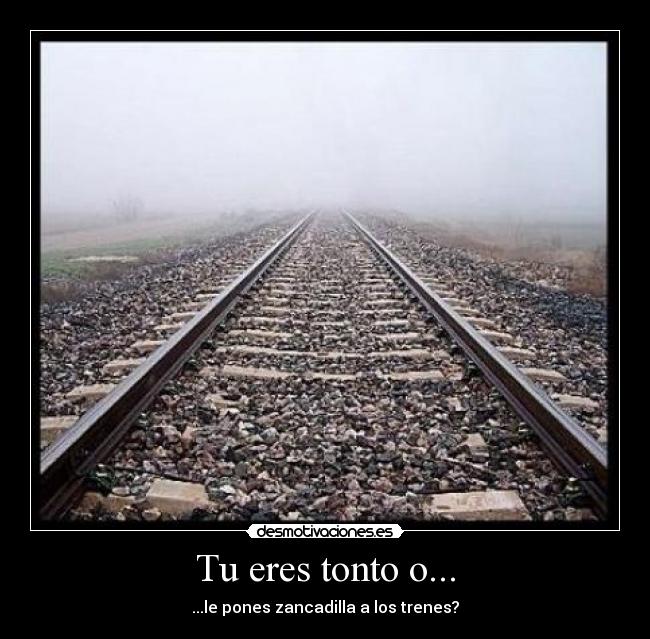 Tu eres tonto o... - ...le pones zancadilla a los trenes?
